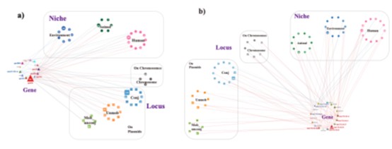Picture2.jpg
